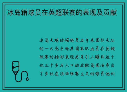 冰岛籍球员在英超联赛的表现及贡献
